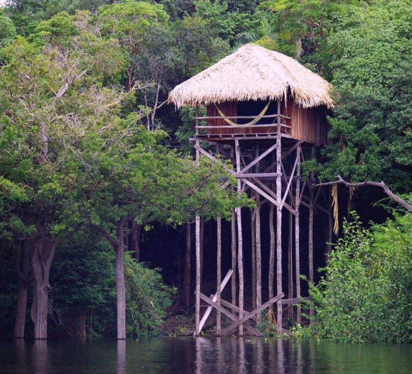 Jungle Hotel in the Amazon