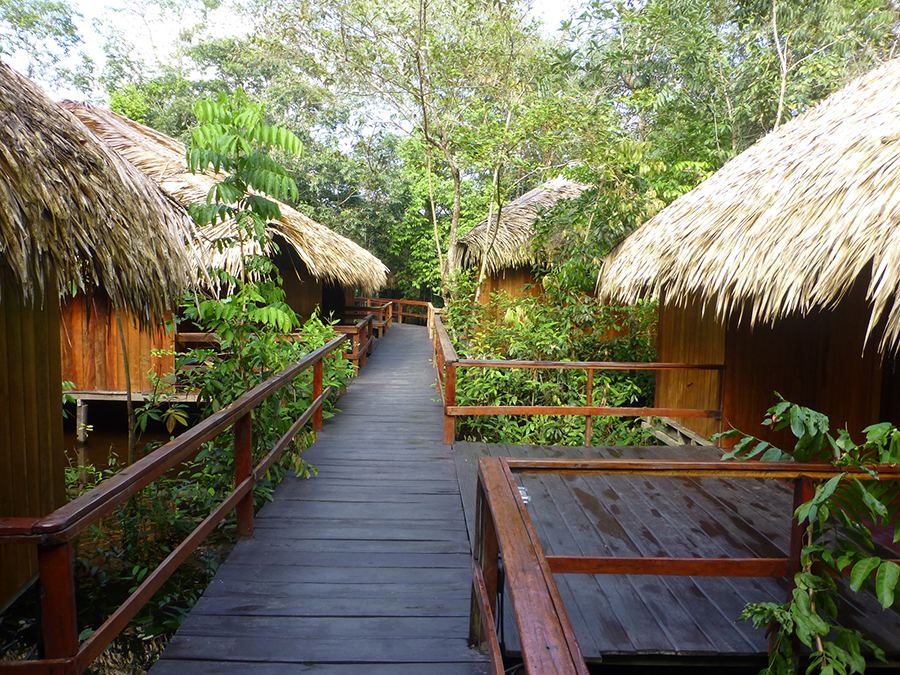Jungle Hotel in the Amazon
